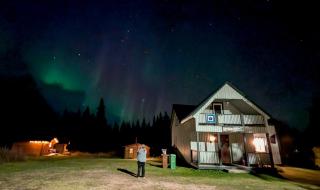 Lapland Snow Moose - 1