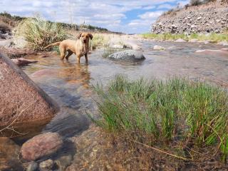 Cabañas Altos del Nopal - 2