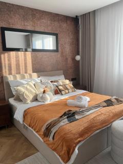 Willa Zięba & SPA Domek Apartamenty nad Zalewem z Basenem, Jacuzzi i Sauną - 3
