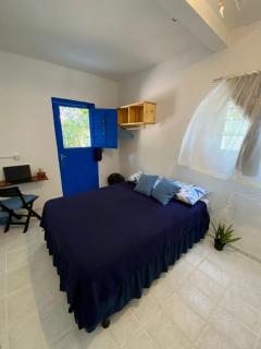 Casinha Blue Pipa - 9