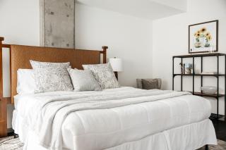 Luxury Spacious Studio - 1