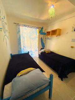 Casinha Blue Pipa - 3