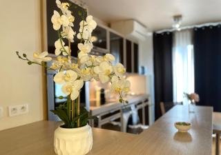 Appartement 60m2 - 6 pers max - dernier étage - Parking gratuit - Paris Montrouge - Métro 4min - spacieux, calme et ensoleillé - Free Wifi - 6