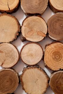 Solis Apartments - AlpineEscape - 7