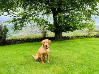 4 Bed in Duddon Valley 89418 - 5