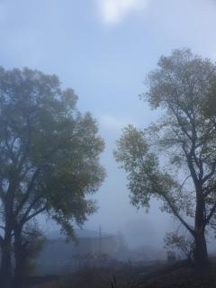 Cottage ELKA gergeti KAZBEGI - 8