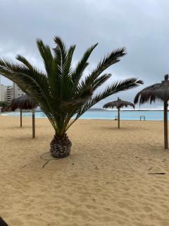 Laguna del Mar La Serena - 8