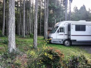 The Great Escape - Shirley - 6