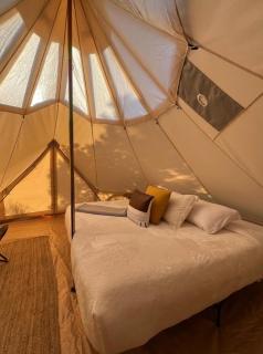 Starlight Olympic Glamping - 2