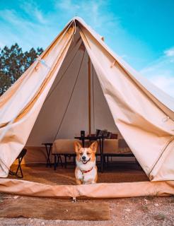 Starlight Olympic Glamping - 1
