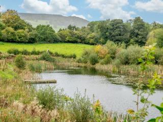 3 Bed in Talybont-on-Usk 88139 - 7