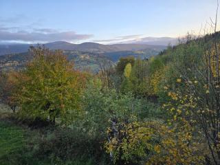 Domek na Niedźwiedziarce - 4