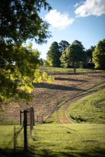 Blackbrook Farm Underberg - 4