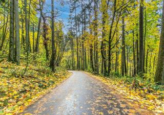 3 min to UO with amazing views! Central to all! - 4