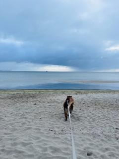 With Sea View please - 4