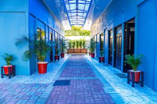 Deer Apartments Bahía Ballena - 6