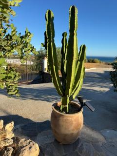 Finca Pozo de la Suerte - 2