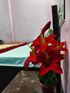 Krishna guest House - 600 meter away from ram mandir - 2