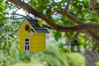 The Yellow Cottage Nature House São Vicente Madeira Island - 9