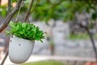 The Yellow Cottage Nature House São Vicente Madeira Island - 8
