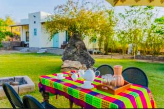 Sayar Bagh Jawai - 4