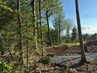 The Greylock Cabin - 2