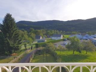 Maison familiale au coeur des volcans d'auvergne - 9