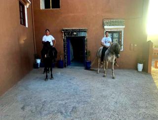 La Belle Vue Guest House - 2