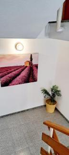 Punta Panoramic - Punta Mujeres - 2