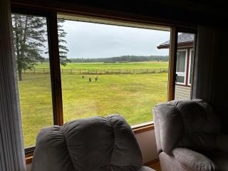 Cozy Farmhouse B&B Retreat - 1
