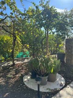 La Cabane du Soleil - 3