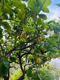 La Cabane du Soleil - 2