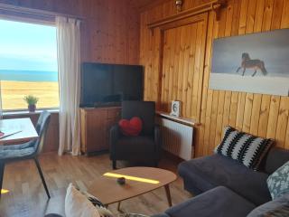 Brimilsvellir Cottage - 7