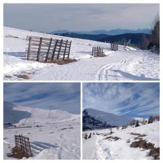 Ferienoase Berg & See - 9