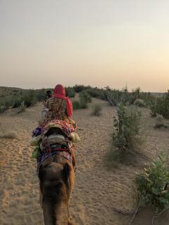 Relax Inn Jaisalmer - 5