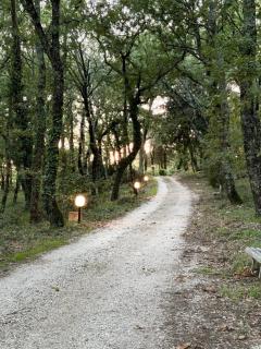 La Casa di Bianca - Porchiano del Monte - 3