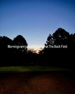 The Back Field - 9