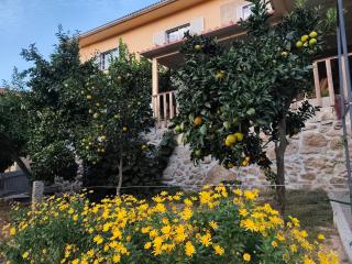 Quinta Cunha - 5
