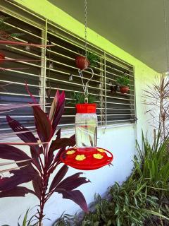 A unique oasis nestled in the heart of the city - 4