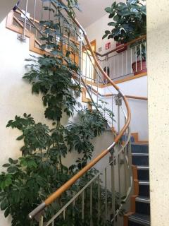 Hotel zum Sportforum - 1