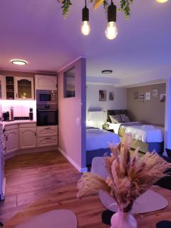 Amaleo Apartments Siegburg - 6