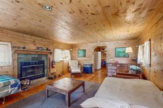 Garden Island's Pine - 3