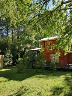 Domos Conguillío - Cabaña en el bosque - 0