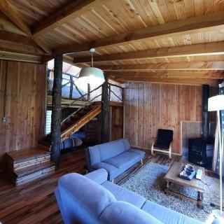 Domos Conguillío - Cabaña en el bosque - 3