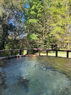 Domos Conguillío - Cabaña en el bosque - Melipeuco - 6