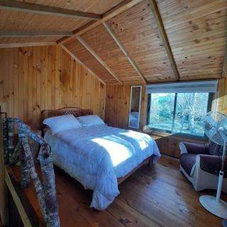 Domos Conguillío - Cabaña en el bosque - Melipeuco - 7