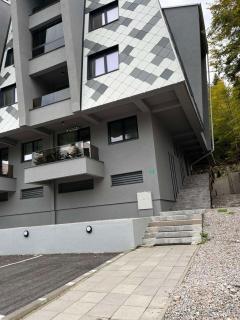 Bjelasnica Family Peak Villa Monti - 4