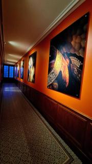 Les appartements de l'Orangerie - 9