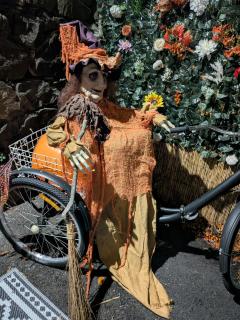 Cavehill city view - 5