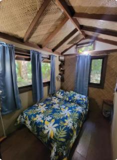 Gecko Hideaway Jungle Getaway - 5